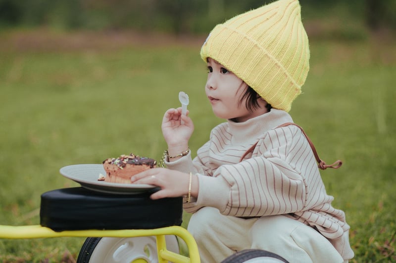 Midnight Picnic